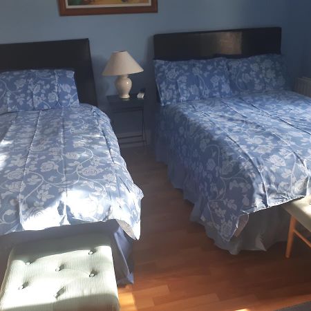 The Dell Dublin Bed and Breakfast Dun Laoghaire Esterno foto
