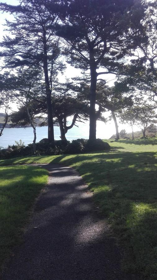 The Dell Dublin Bed and Breakfast Dun Laoghaire Esterno foto